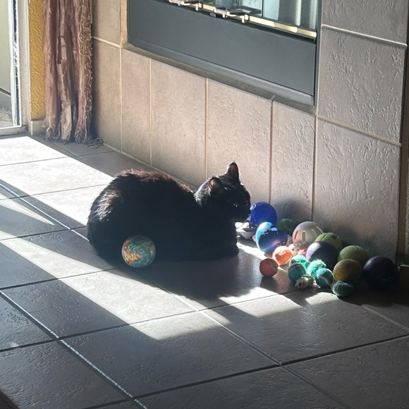 Hello...It’s me! Maxed out on Part 1!😍 - Picture 6 of 12